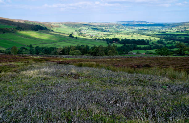 istock North York Moors with heather in bloom, fields, under blue sky. Glaisdale, UK. 1270642758