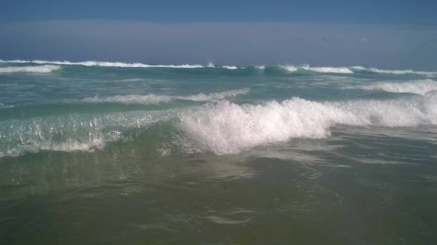 Wild sea on the beach