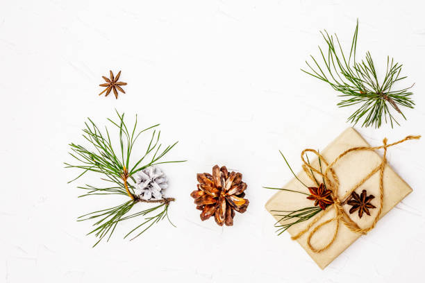 istock Zero waste gift concept. Christmas or New Year decor from pine branches and cones, star anise and vintage thread. Plastic-free recyclable lifestyle 1270645978
