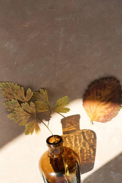istock Autumn background. Leaf in a vase and sunlight shadows, silhouette on beige paint textured backdrop with copy space. Minimal concept. Poster 1270650738