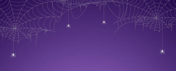 ilustraciones, imágenes clip art, dibujos animados e iconos de stock de bandera de la tela de araña de halloween con arañas, fondo de telaraña - halloween