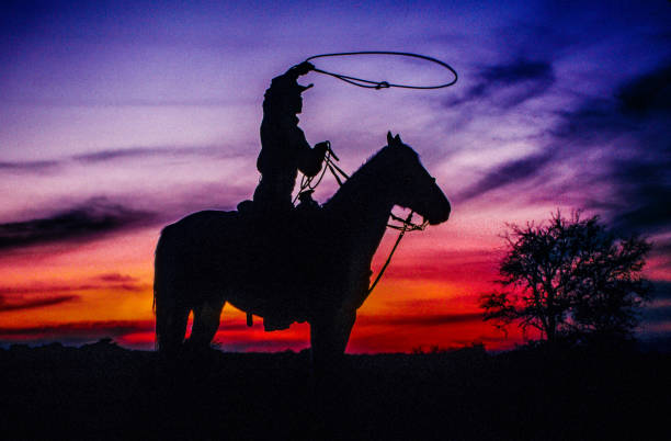 istock Cowboy on horse with rope lasso tree sunset 1270653404