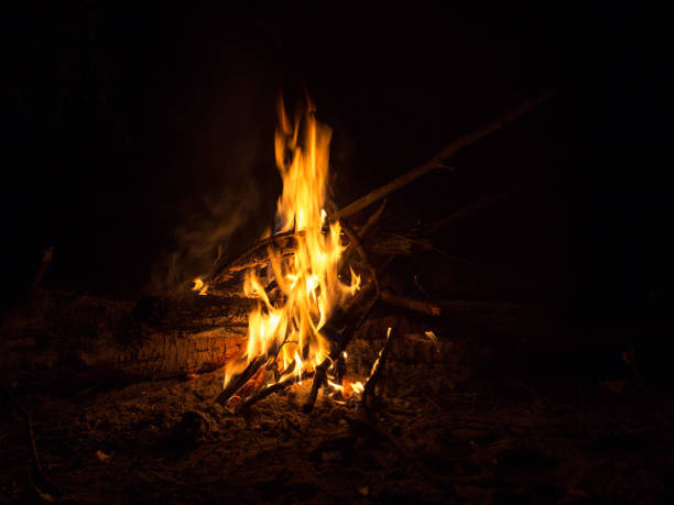 istock The fire of the bonfire dances 1270654516