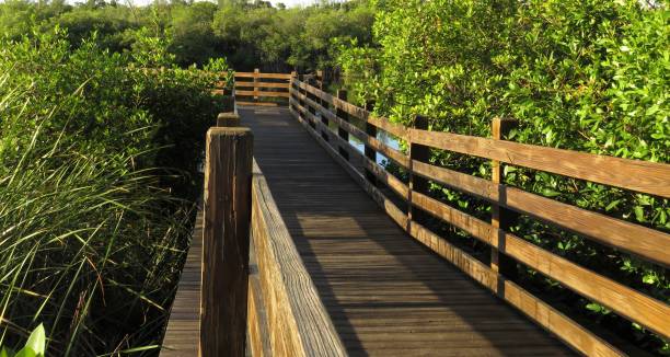 istock Wooden Bridge leading to lakeside 1270655705