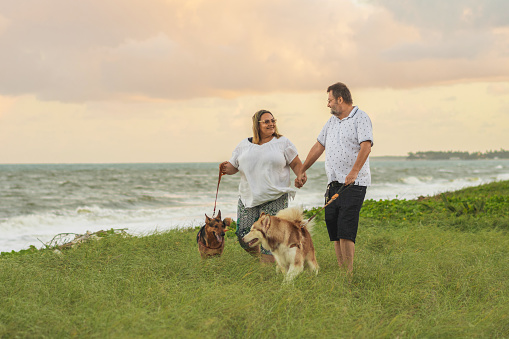 Dogs, Family, Couple, Beach, Vacation
