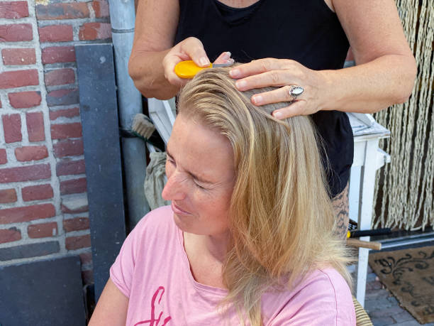 Checking for louse in hair Mother checking here adult daughter for louse in hair Combing stock pictures, royalty-free photos & images