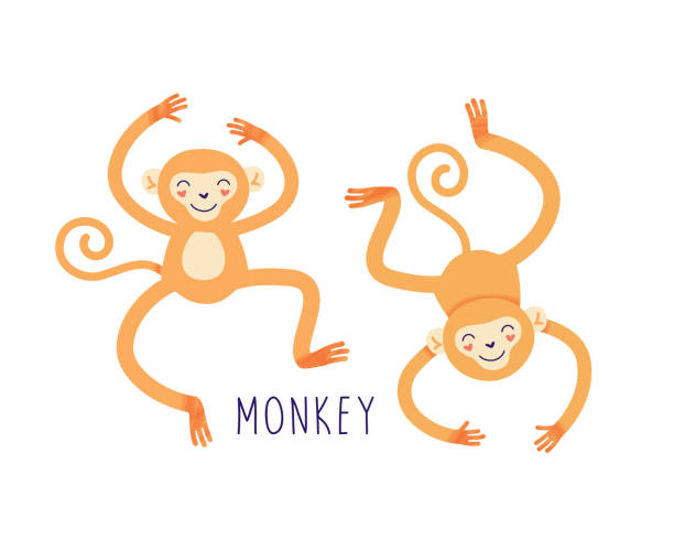 ilustrações de stock, clip art, desenhos animados e ícones de cartoon monkey for print design. isolated vector illustrations on white background. - play the ape