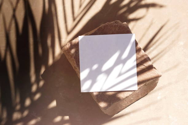 istock Blank paper sheet cards template, stone and sunlight palm shadows on beige textured background. Flat lay, top view.copy space. Business podium mock up . 1270660613