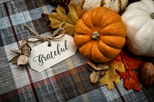 赤ちゃんの息の花とチェック柄の背景に秋の白小さなカボチャ - thanksgiving autumn pumpkin food ストックフォトと画像