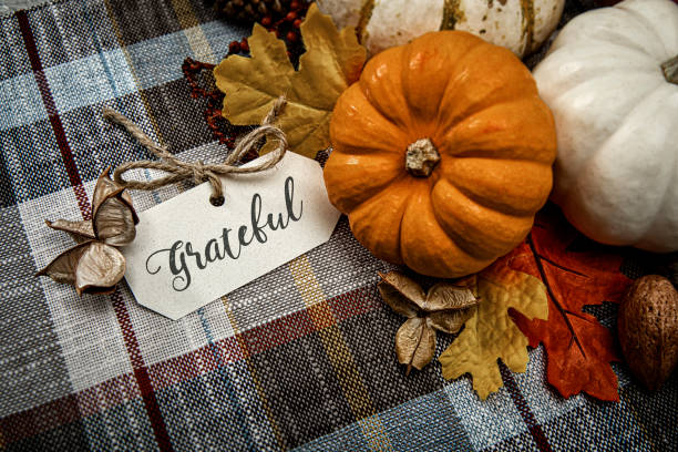 Autumn White Small pumpkins on plaid background with Baby breath flowers This is a close up photo of a group of small white pumpkins on a plaid table cloth background. There is space for copy.This photo would work well for Thanksgiving and a holiday season in the fall. november stock pictures, royalty-free photos & images