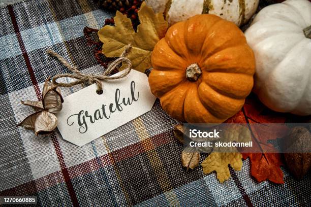 Autumn White Small Pumpkins On Plaid Background With Baby Breath Flowers Stock Photo - Download Image Now