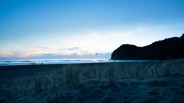 Sunset view of Piha beach with grass on the blank sand dunes