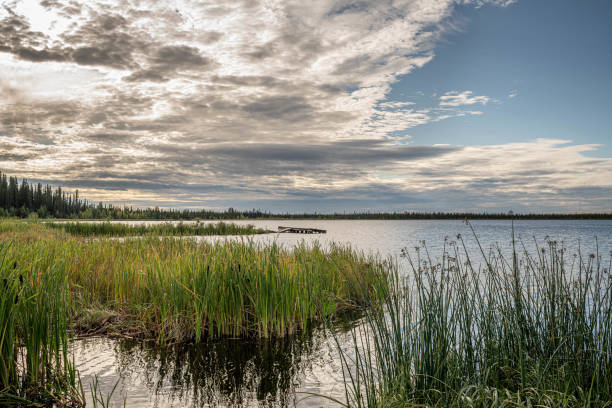 istock Remote Northern Lake Sunrise 1270664323