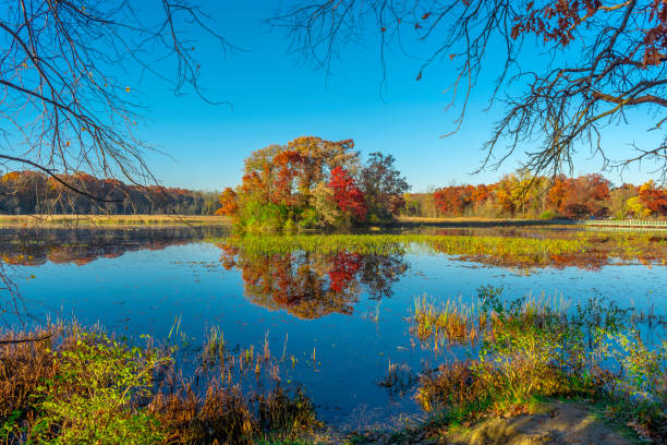istock Color change in Michigan 1270664655