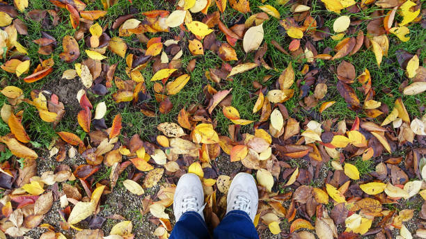 istock Legs in boots and jeans on the autumn leaves. 1270665659