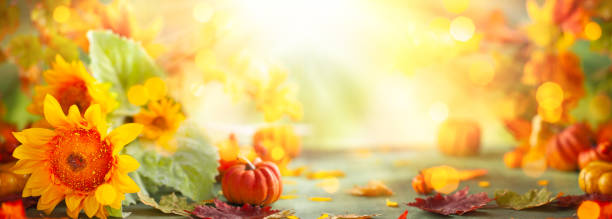 istock Autumn festive background with sunflowers, pumpkins and fall leaves 1270666867
