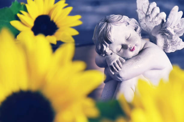 istock Little guardian angel and sunflowers 1270668155