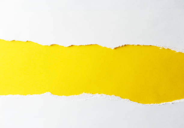 istock white ripped paper with color background 1270671350