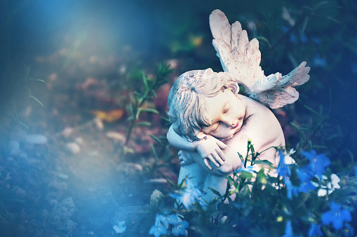 Guardian angel sleeping in flowers