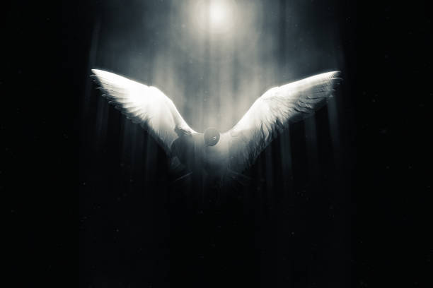Flying bird. Creative abstract nature. Darkness background.