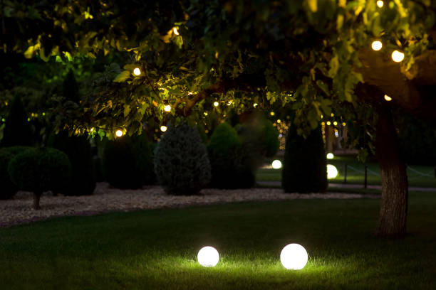 istock illumination backyard light garden with electric ground lantern with round diffuser lamp with garland of light bulbs on tree branch with leaves, dark landscaping with illuminate night scene, nobody. 1270672723
