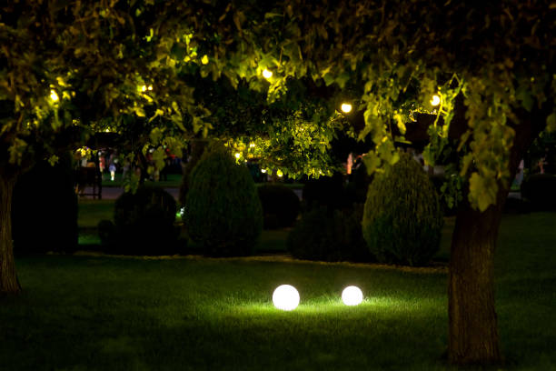 istock illumination backyard light garden with 2 ground lanterns with round diffuser lamp and garland of light bulbs on tree branches with leaves, dark landscaping with illuminate night scene, nobody. 1270672725