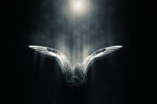 istock Flying bird. Creative abstract nature. Darkness background. 1270672743