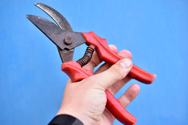 istock Garden cutter for removing branches and branches of plants 1270675130
