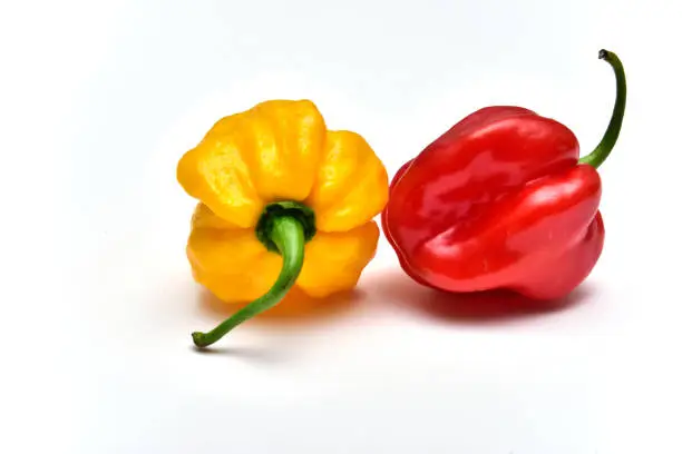 Photo of red and yellow habanero chili peppers isolated on white background