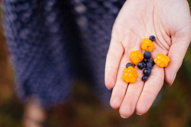 istock Female hand with fresh blueberries and cloudberries 1270681715