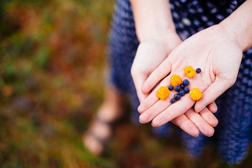 Girl holding cloudberries – the northern delicacy 