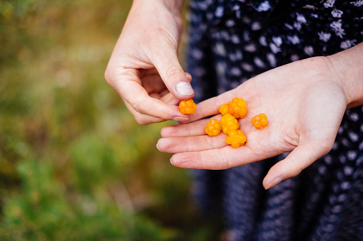 Girl holding cloudberries northern delicacy 
