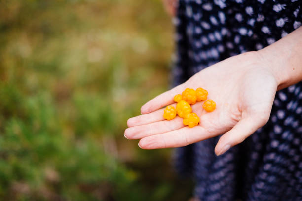 istock Girl holding cloudberries 1270681810