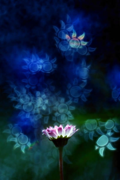 istock Beautiful flowers from my garden 1270682116