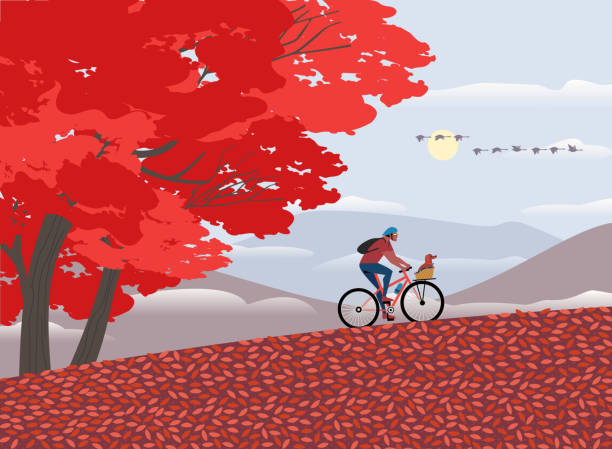 ilustrações de stock, clip art, desenhos animados e ícones de autumn mountain valley sport activity poster - leaf autumn falling tree