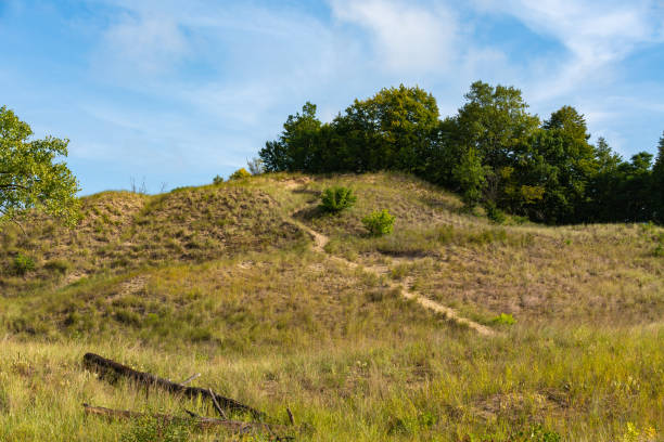 istock Trail on the sand dunes 1270684361