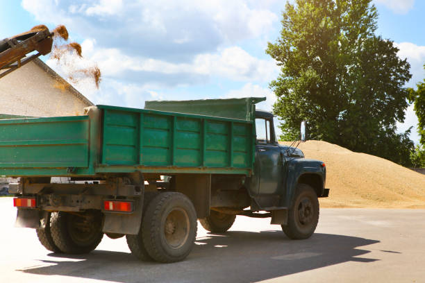 istock Processing of grain after harvesting. Grain cleaning machine, loads grain into the back of a truck. 1270684464
