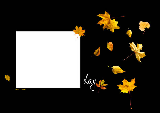 Autumn background with fall leaves. Black chalkboard in center with copy space for your text. Cozy Autumn Still Life. Back to School Concept.