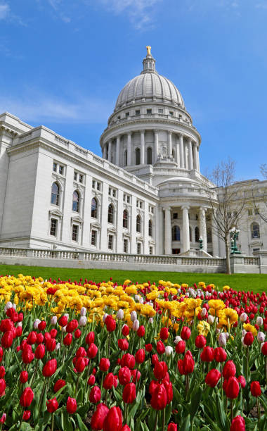 istock Wisconsin State Capitol building with tulips in garden 1270688043