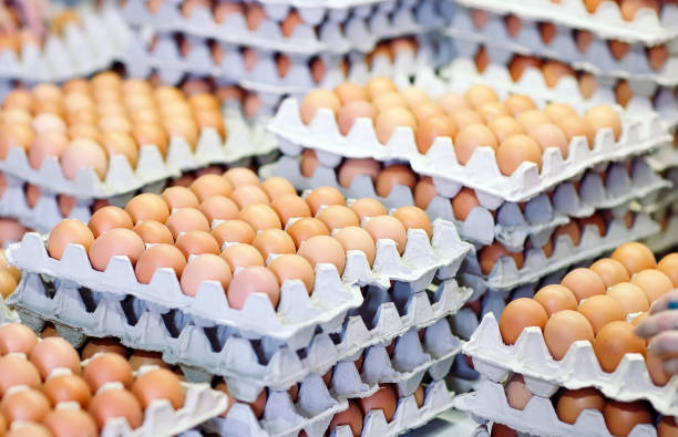 Egg Tray Stock Photos, Pictures & Royalty-Free Images - iStock