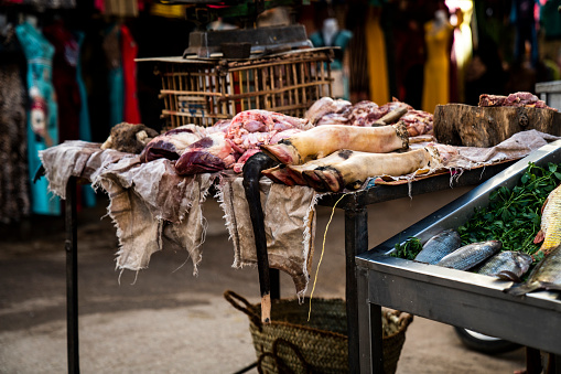 Animal parts and fish for sale at a market in Luxor, Luxor Governorate, Egypt