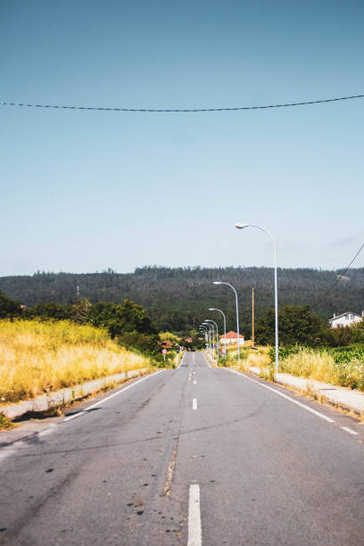 istock road surrounded by forest and vegetation against blue sky 1270688369