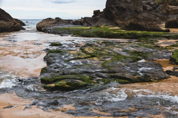 istock Laga's beach in Basque Country during a cloudy day 1270688553