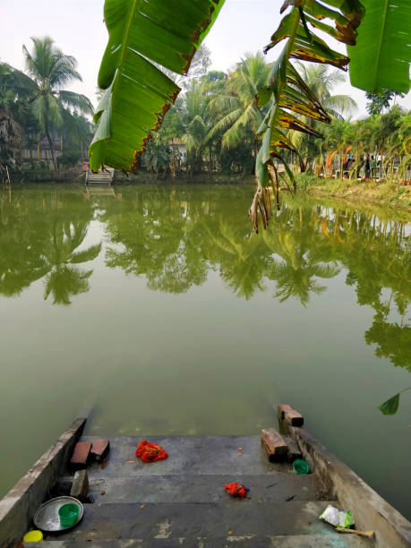 istock A typical Bengali type pond with steps leading to it at Joygopalpu, India- 9th Feb 2018 1270688575