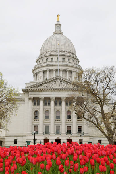 istock Wisconsin State Capitol with red tulips in foreground 1270689184