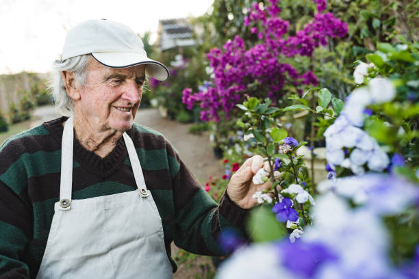 istock Smiling horticulturist looking at flowers 1270690397