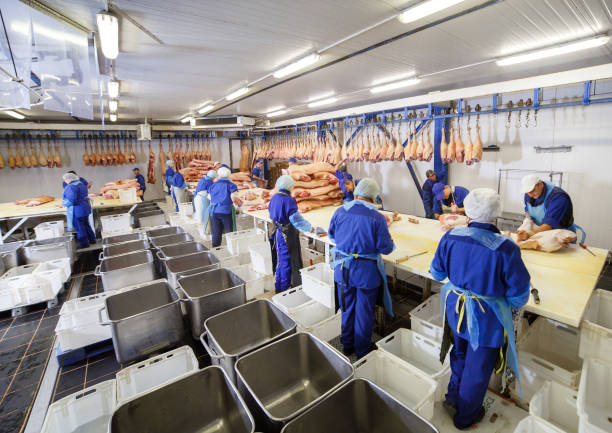 Cutting meat in slaughterhouse. Butcher cutting pork at the meat manufacturing. stock photo