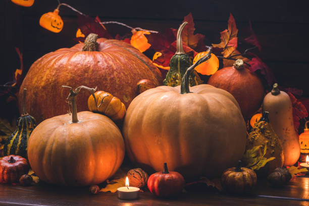 orange pumpkin on white background. Thanksgiving and Halloween concept.