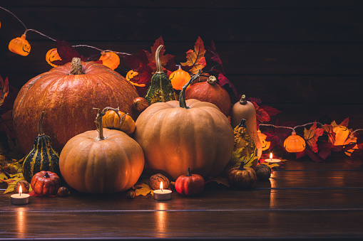 Composition of different pumpkins, orange, green and yellow, on a background of dark boards. Autumn background. Fall. Halloween and Thanksgiving Day poster. Nature and  autumn vegetables. Eco products