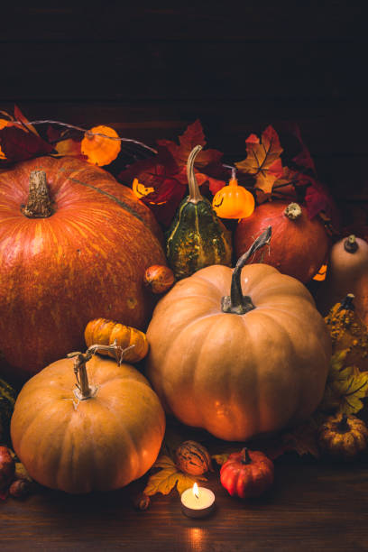 istock Autumn Pumpkin Holiday Background 1270691909